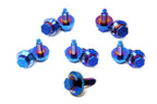BMS Titanium Front Engine Bay Bolt Kit for G8x G2x F8x BMW