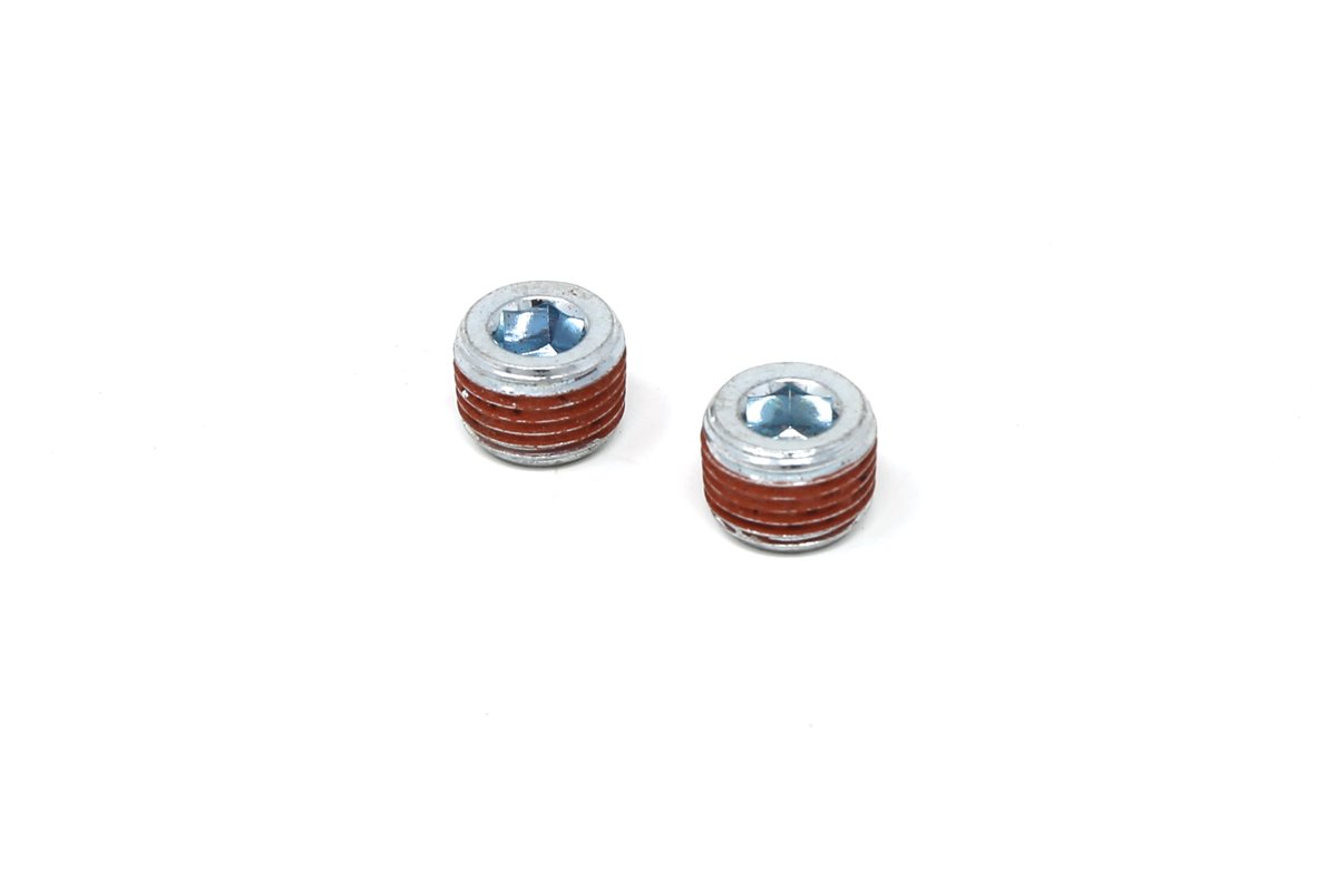 1/8" NPT Bung Plugs (2 Pack) - Burger Motorsports 