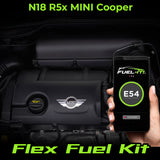 Fuel-It! FLEX FUEL KITS for N18 MINI Cooper