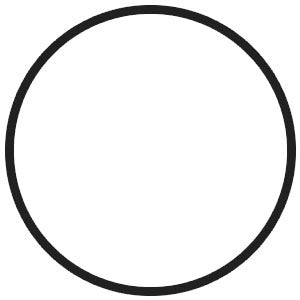 Replacement N54/N55/N20 chargepipe gasket (E and F  chassis) - Burger Motorsports 