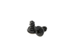 License Plate Screws for BMW / MINI (Pair)